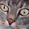 Profilbild von ¯\_(ツ)_/¯