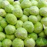 Organic Artisanal Micro Cabbage 的头像
