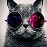 Didier LEROY #MacronCoupDEtat #Macrondestitution's profile picture