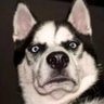Profilbild von W