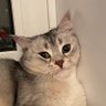 Фото профиля принцесса чмов