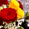 Ftoo Moh profil fotoğrafı
