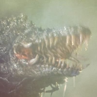 休眠アカウント's profile picture