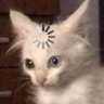 Profilbild von чай с лимоном