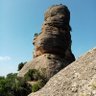 Populus profil fotoğrafı