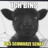 Profilbild von Tigerchen04