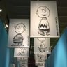Фото профиля きじしろ