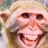 Profilbild von Marco Rencor