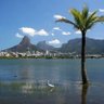 M.Vianna filho's profile picture