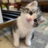 luuestherle profil fotoğrafı