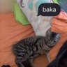 Ed C Cano profil fotoğrafı