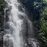 Belalang Kadung's profile picture