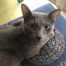 Profilbild von ぐりぐり