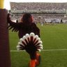 Maroon Baboon's profile picture