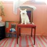 Sasha turner profil fotoğrafı