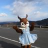 Profilbild von なおチュー🐯