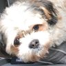 Profilbild von Gert