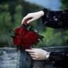Manal14 profil fotoğrafı