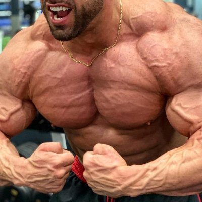 bloomdg's profile picture