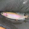 Фото профиля Full Metal Fly Fishing