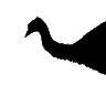 Avipt 🇸🇪 的头像