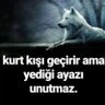 Profilbild von Cagatay