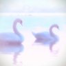 nessie1001 🎗️ profil fotoğrafı