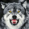 James Gibson's profile picture