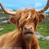 straight batter's profile picture