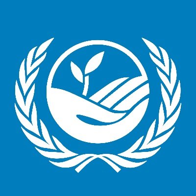 UNCCD's profile picture