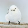 もぐもぐspk 的头像
