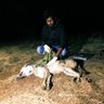 Shaheer Khan, PhD 🇮🇳🐺's profile picture