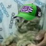 Profilbild von Nahuel_819