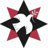 Animationeer (단 원) ✴️☮️🇵🇸🕊🇮🇱's profile picture