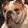 Drew Mr. Mayor Gardner's profile picture