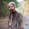 Profilbild von A random Walker