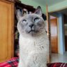 Sir Rufus 的头像