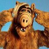 Alf From the popular movie franchise Star Wars profil fotoğrafı