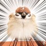 札幌スパローマン's profile picture