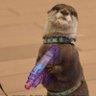 otterwoman314 profil fotoğrafı