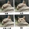 Фото профиля 大虾