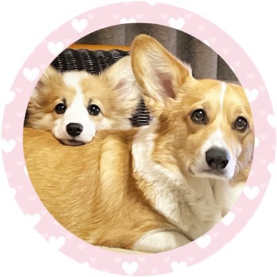 ORICORGI_MOCA's profile picture