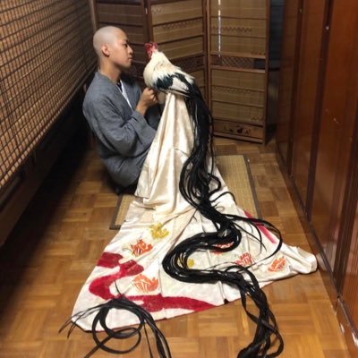ナンシー・Onagadori's profile picture