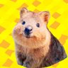 chan🐥🐥's profile picture