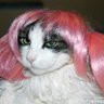 Profilbild von pinar