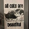 GeriatricCat 的头像