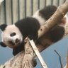 happyxaingxaing profil fotoğrafı