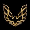 Filip Gramas's profile picture