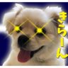 レオくん profil fotoğrafı