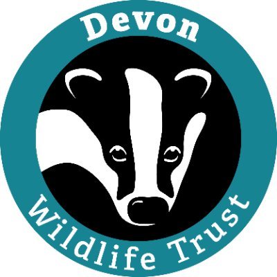 DevonWildlife's profile picture